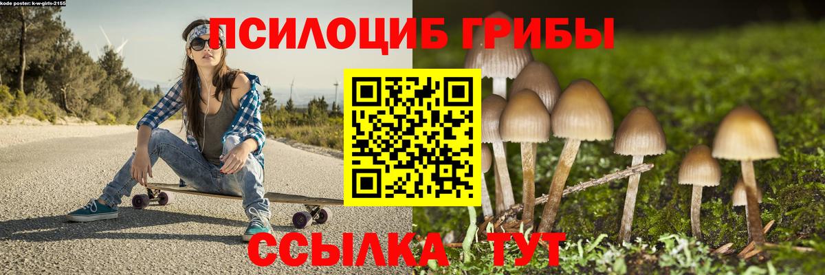 Великий Устюг  Галлюциногенные грибы Magic Shrooms  Вход с VPN  Псилоцибиновые грибы Psilocybine cubensis 